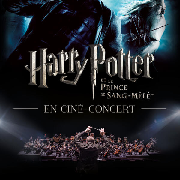 HARRY POTTER ET LE PRINCE DE SANG-MELE